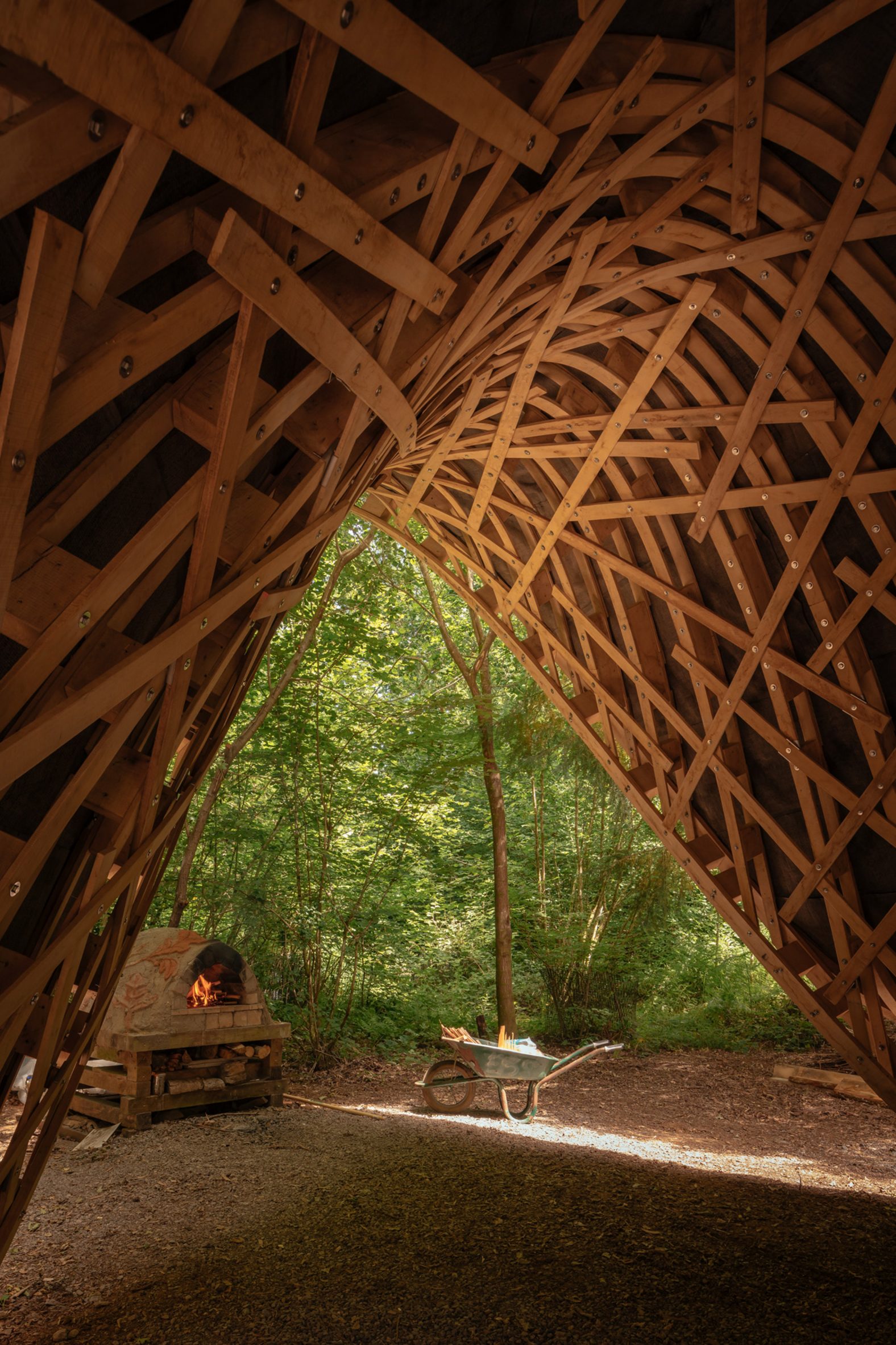 Steam-bent timber shelter