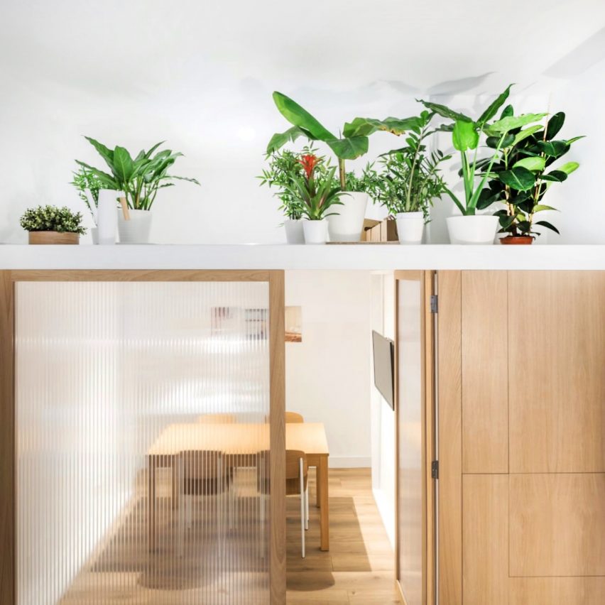 A picture of a plant-filled contemporary kitchen