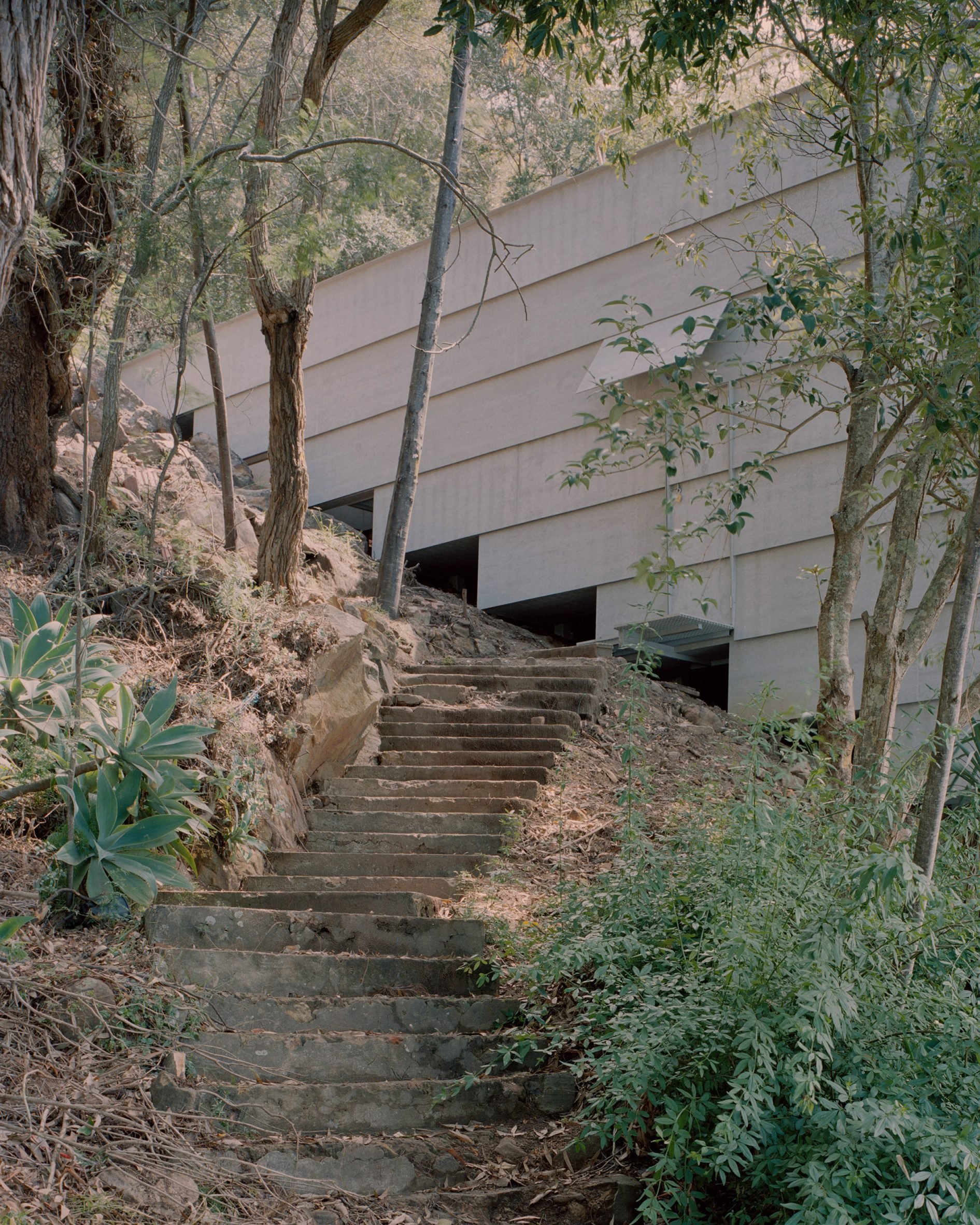 Image of the steps leading up to the Marramarra Shack