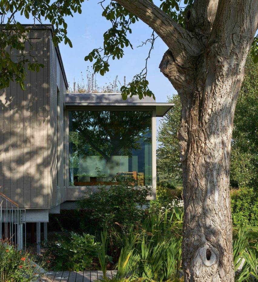 Exterior of stilted home amongst greenery