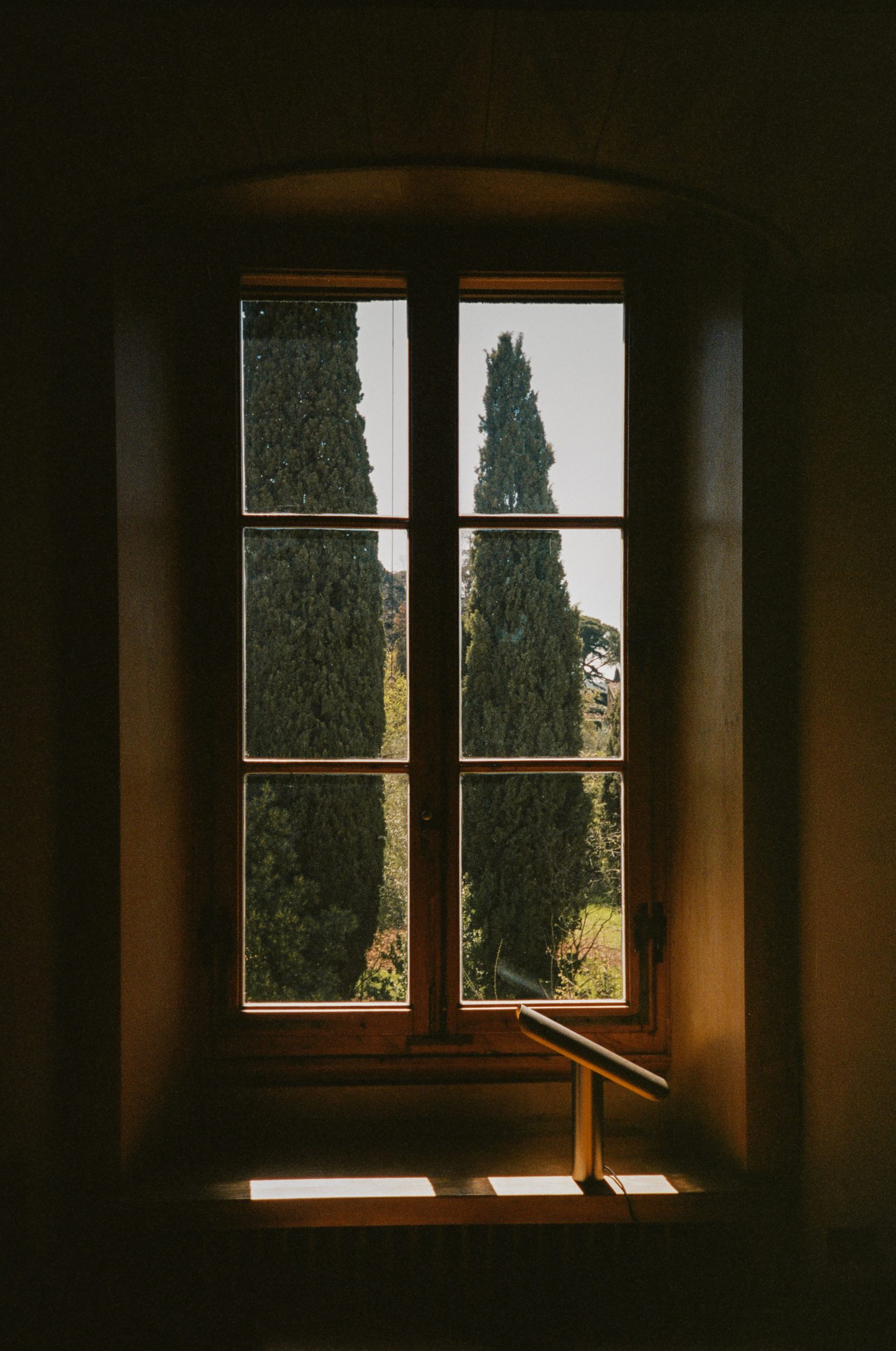 View out of Villa Medicea di Marignolle apartment by Frama over cypress trees
