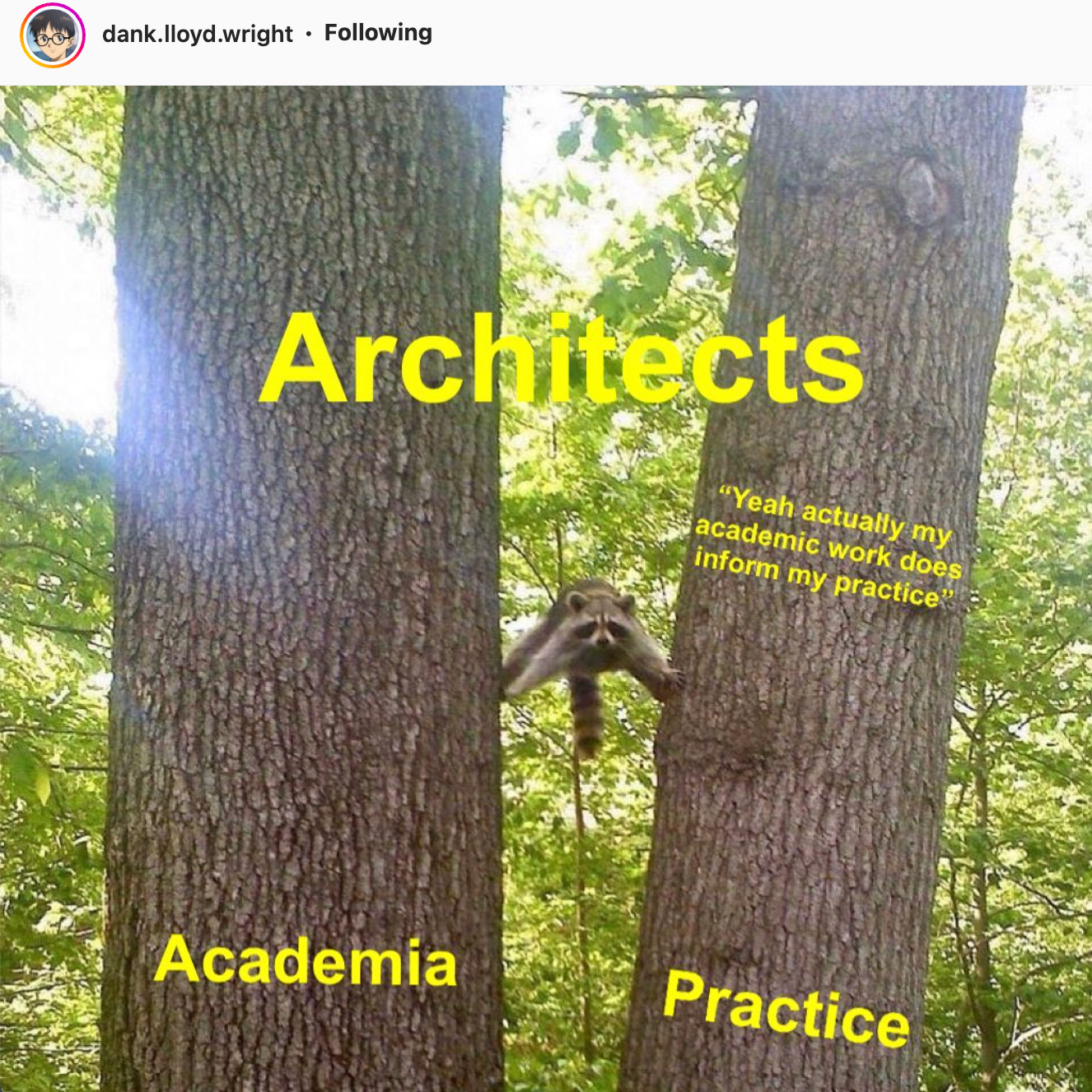 woody meme instagram