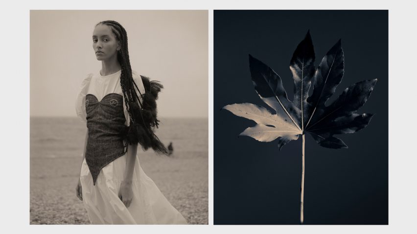 Two sepia photographs side by side of a leaf and a model wearing a dress
