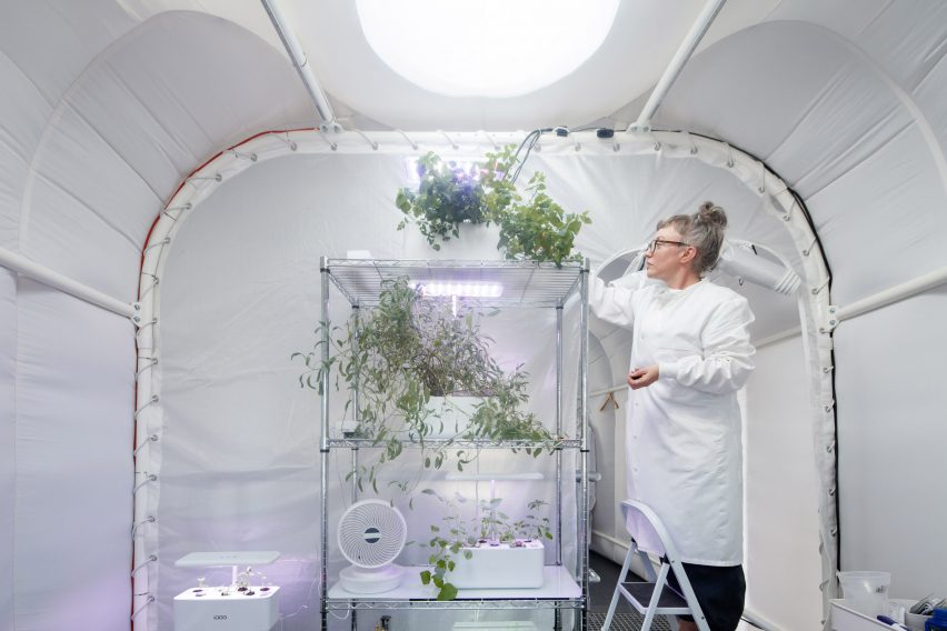 Hydroponic growing room