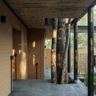 Casa Patio by Herchell Arquitectos