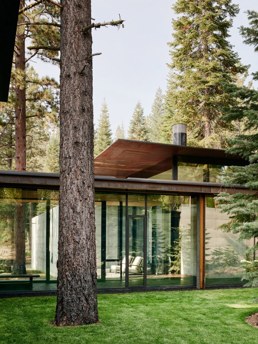 Floor to ceiling glass with grass and trees