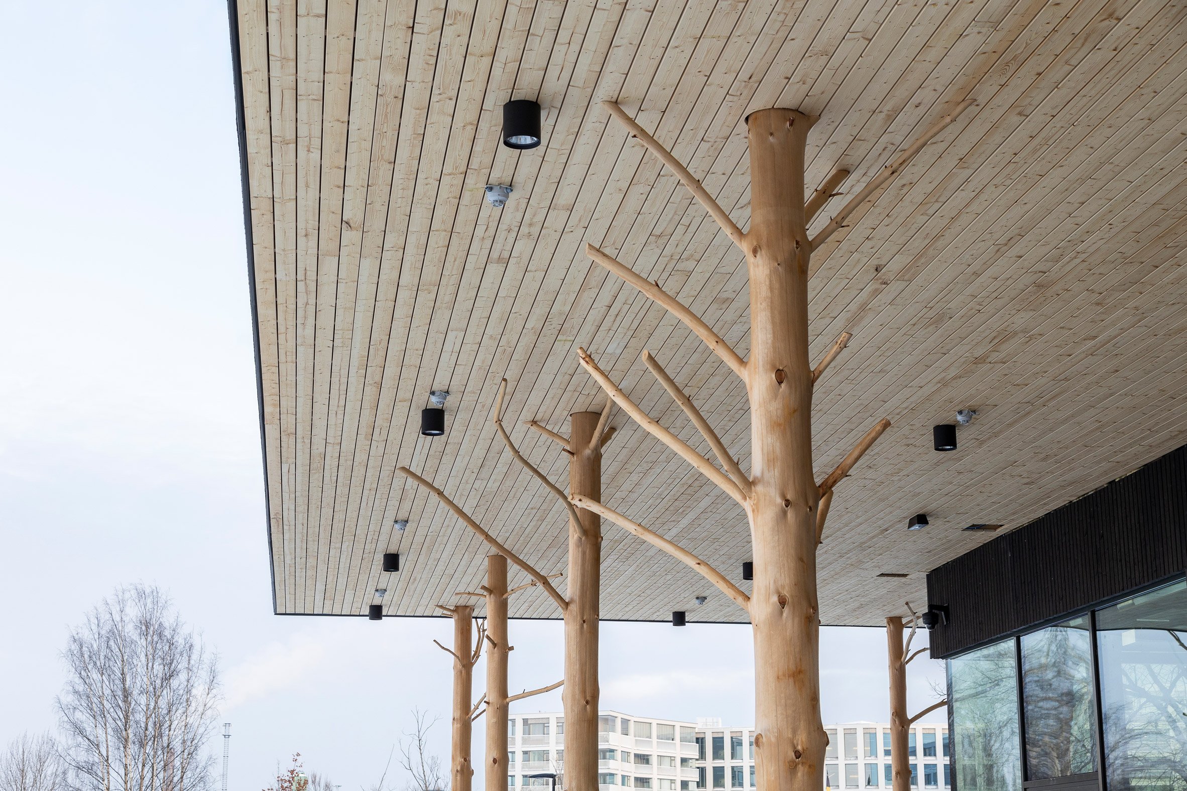 Tree pillars designed by Jaakko Torvinen