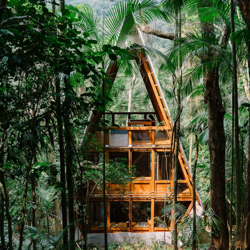 Steep pitched timber building with windows in the rainforest