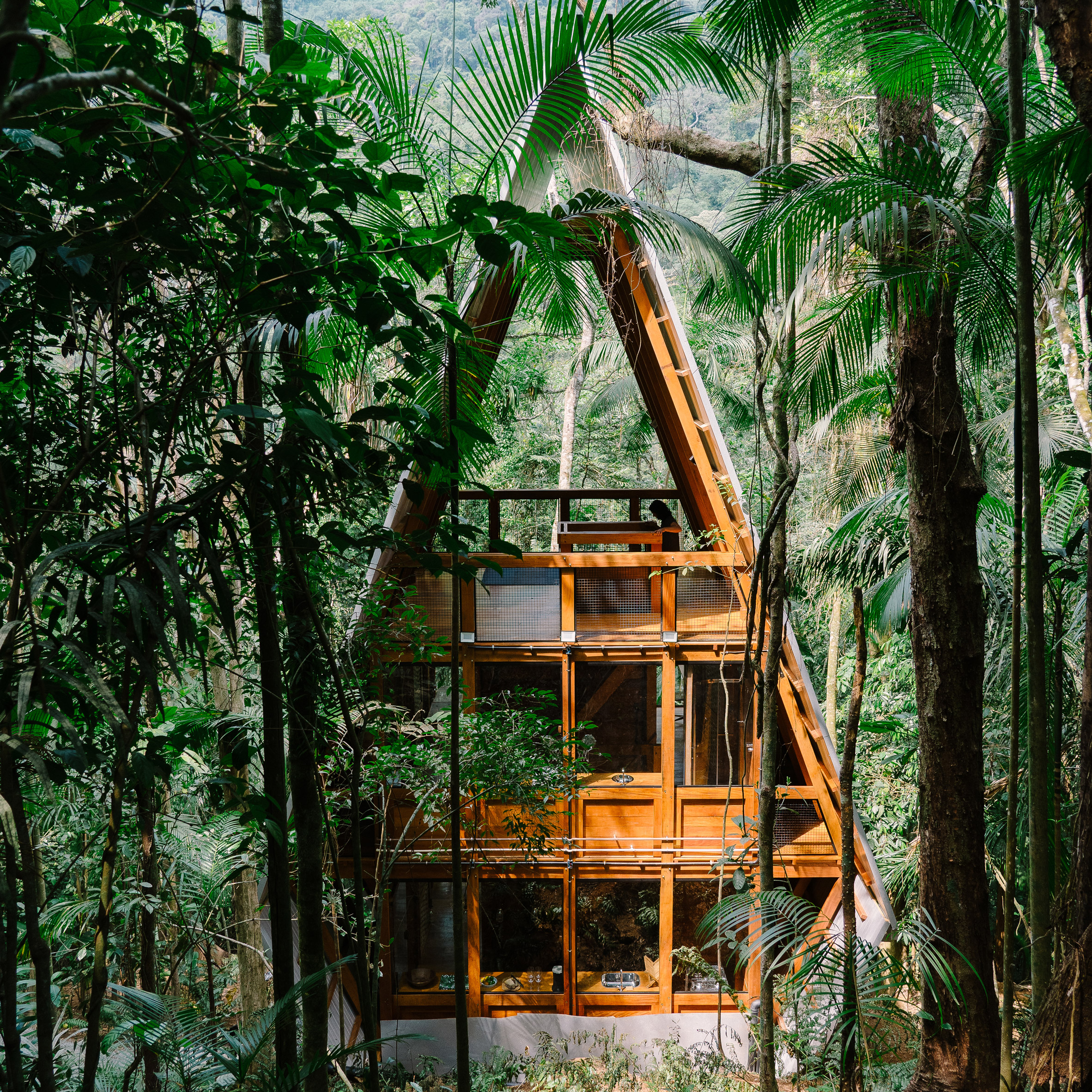 Steep pitched timber building with windows in the rainforest