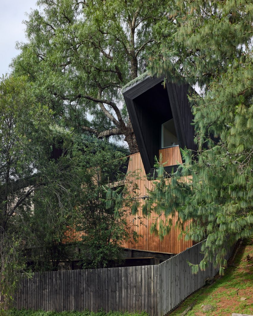 House with angular volume in black wood