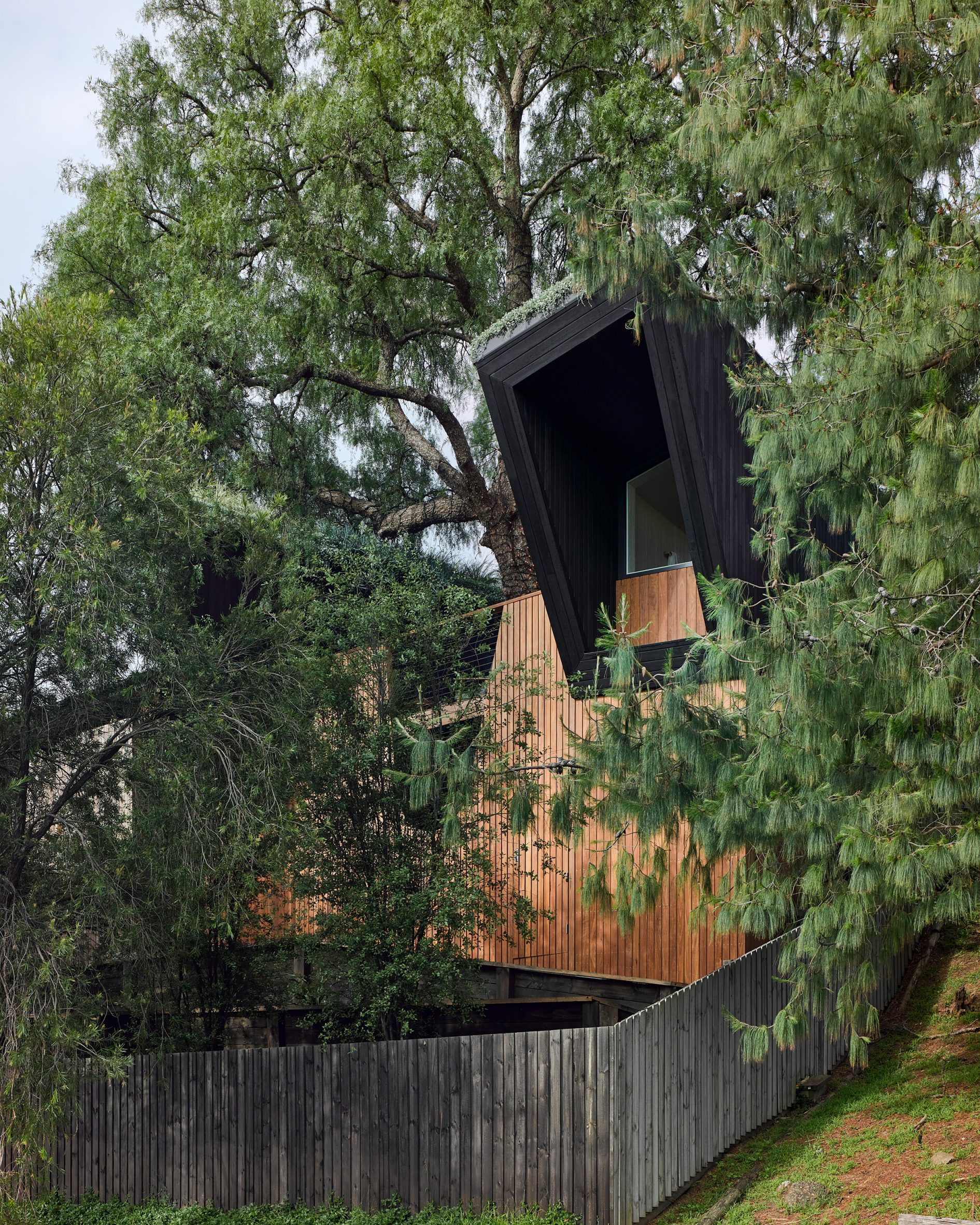 House with angular black-timber volume