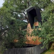 Alexander Symes arranges Pepper Tree Passive House around existing tree