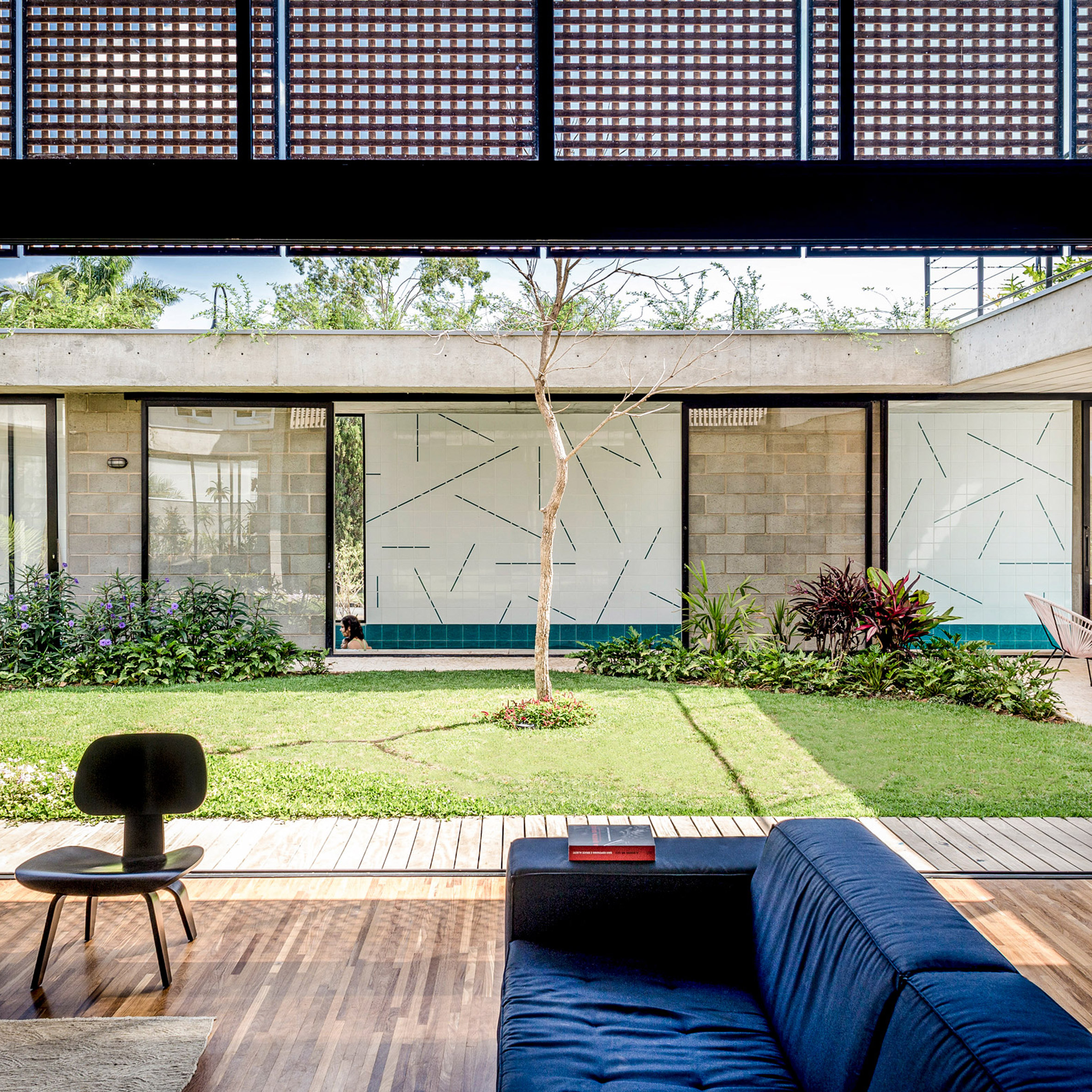 Living area with opening to a grassy courtyard with a central tree