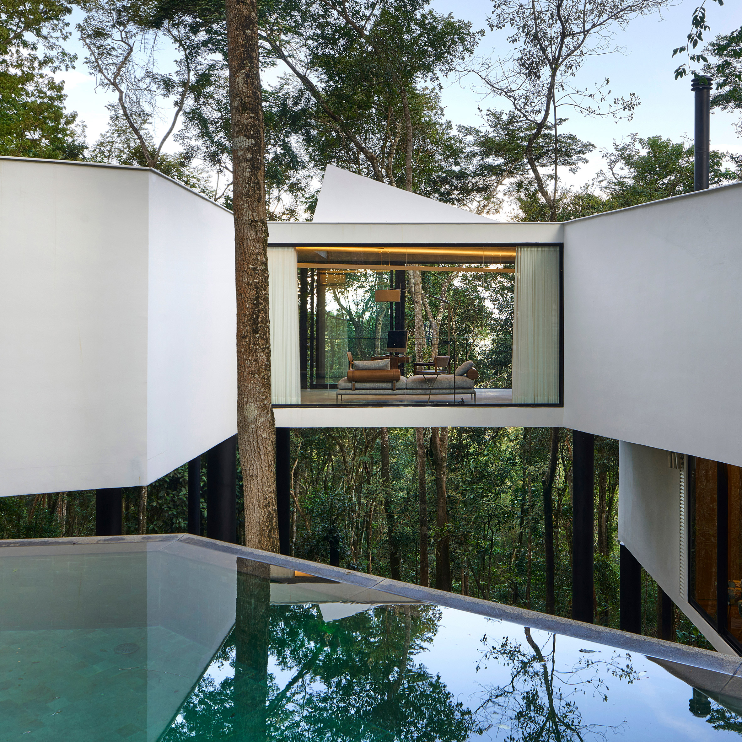 Elevated white building in the treetops with a large window looking into a living area