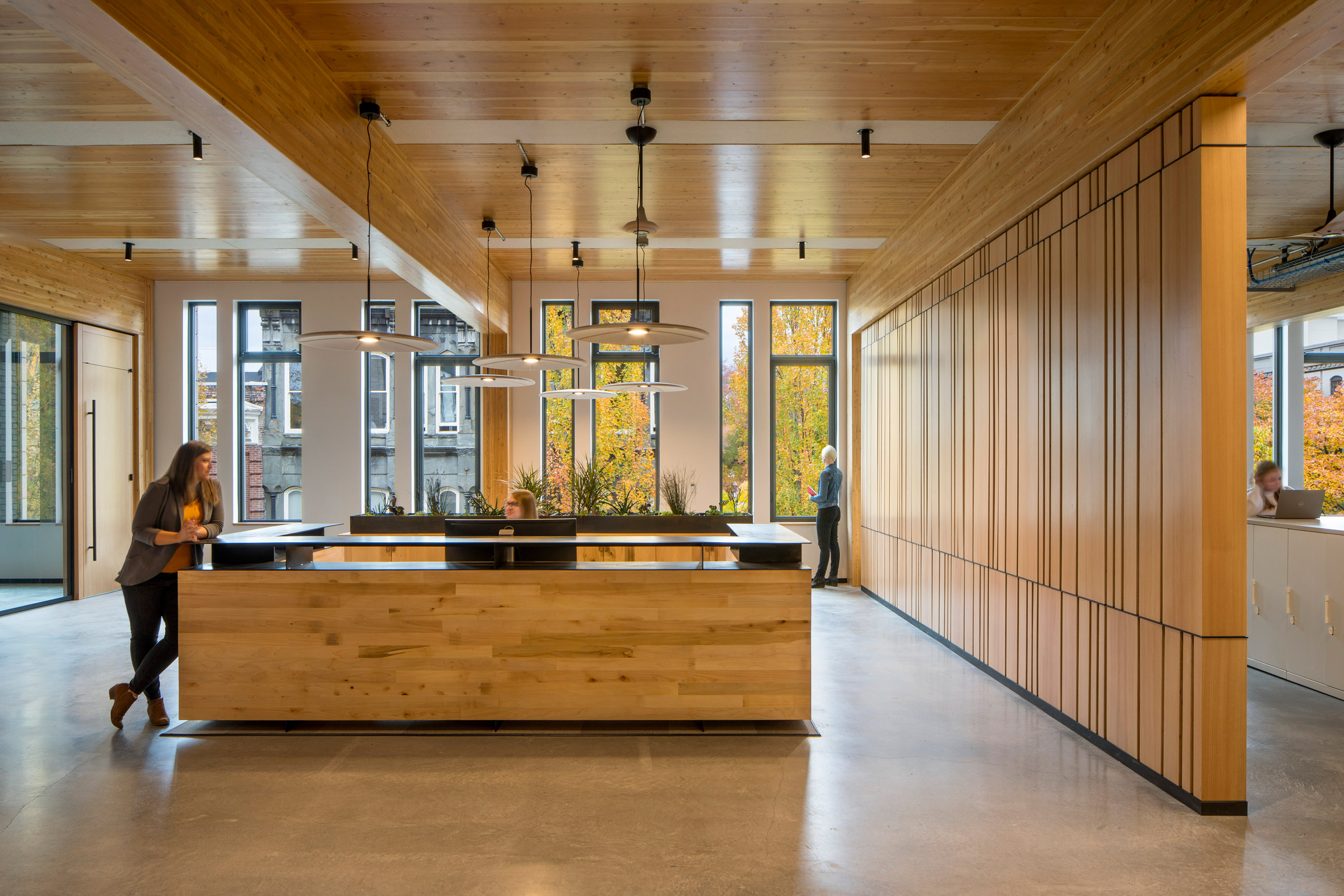 Mass timber office interiors with wooden desk