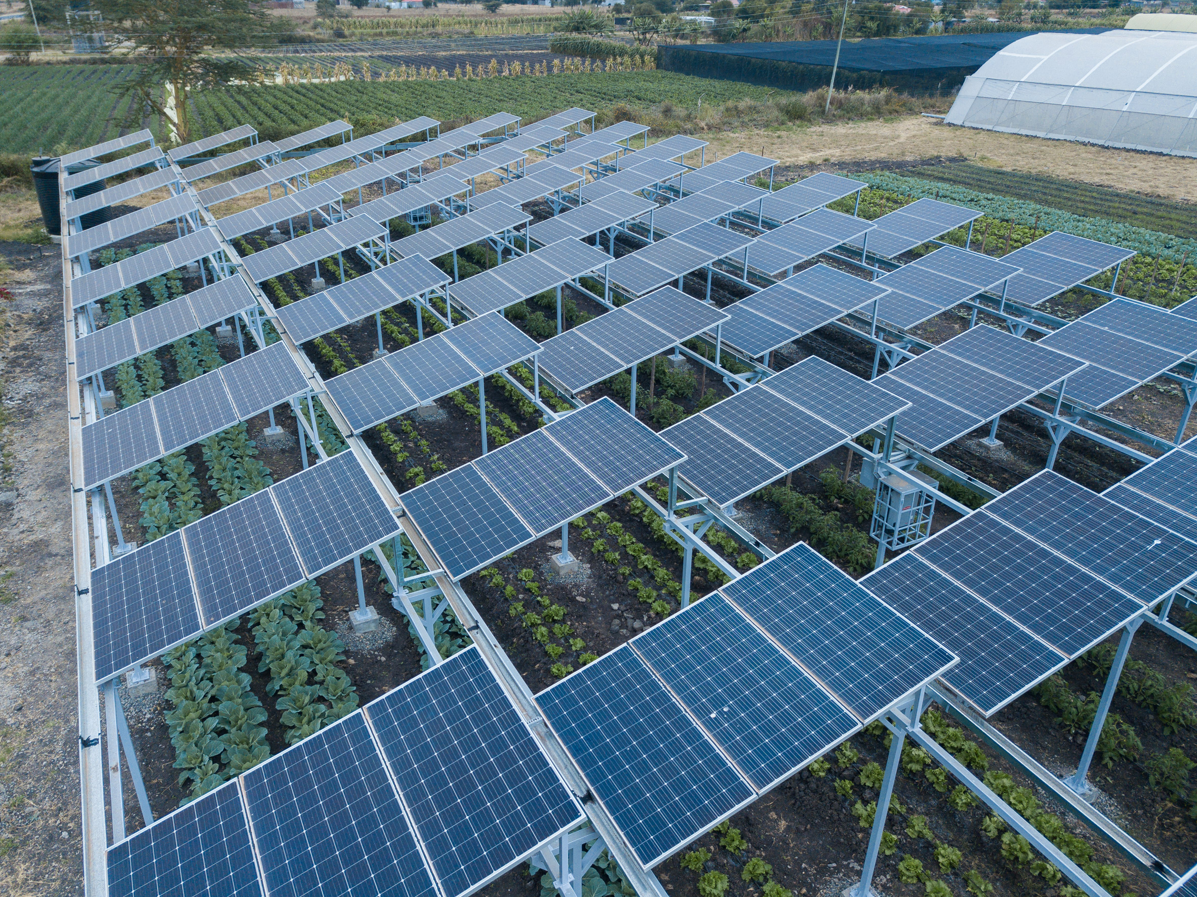 Agrivoltaic solar farm from Harvesting the Sun Twice project in Kenya, photographed by Chloride Exide