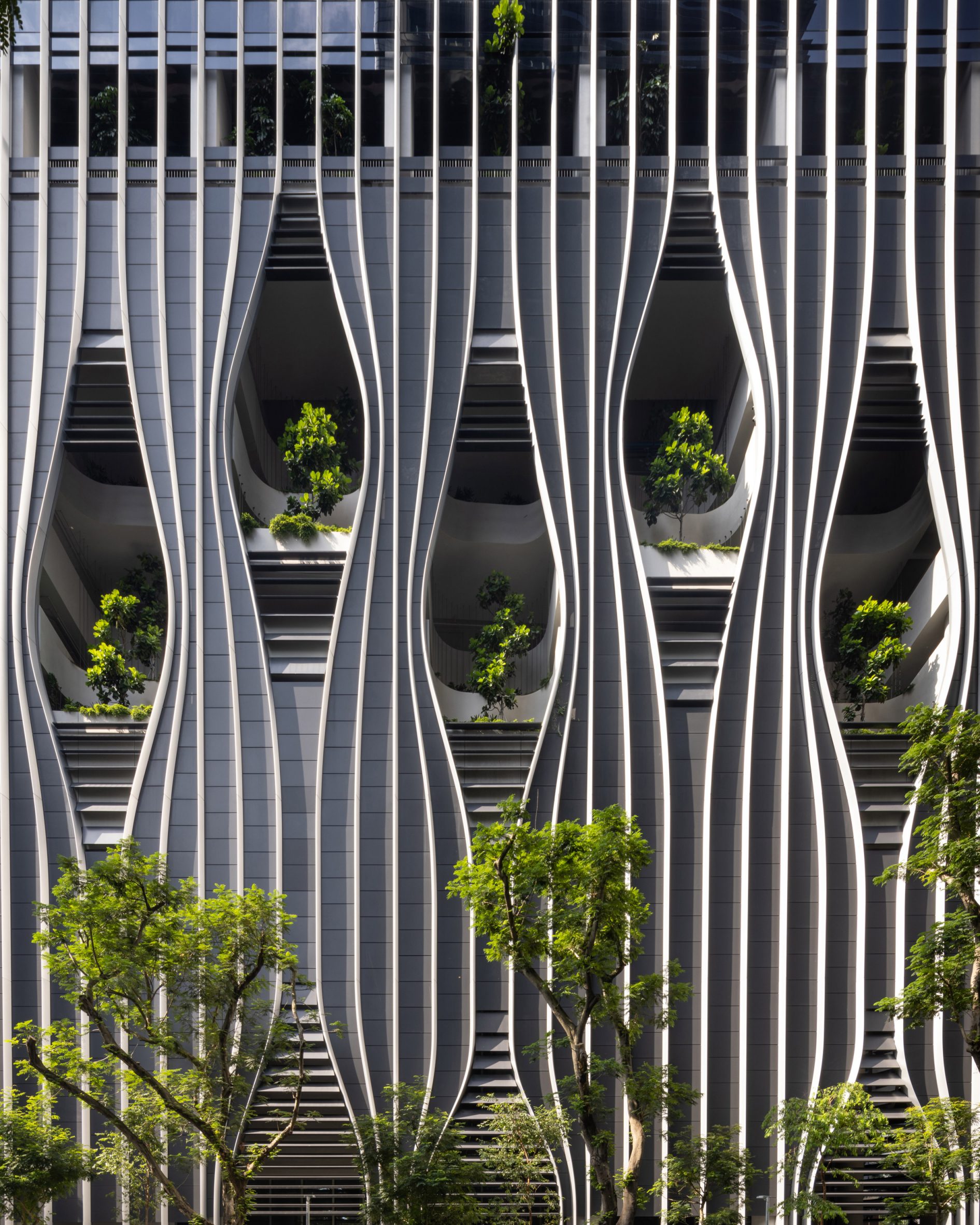 Facade with sculptural openings framing plants