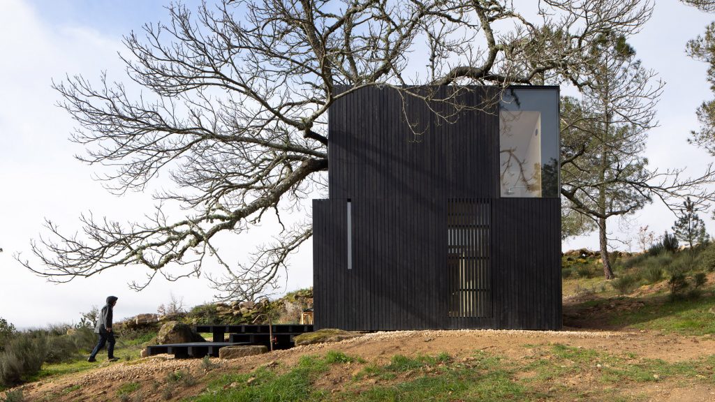 João Mendes Ribeiro designs Chestnut House as “elegant shelter”