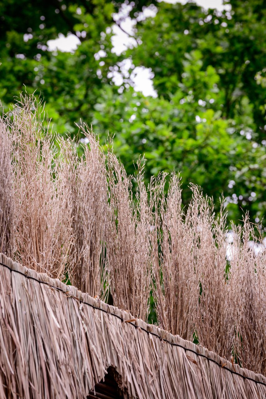 Fringe of sarass grass on top of a pavilion