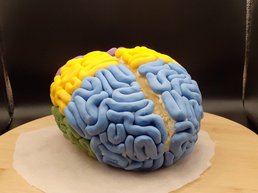 Yellow and blue brain made out of cake