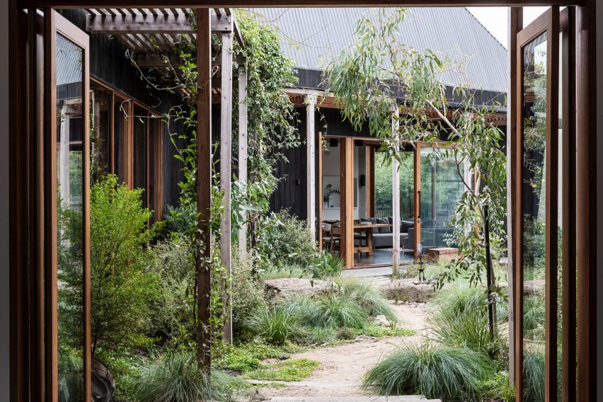 Native courtyard in Melbourne house by BKK Architects