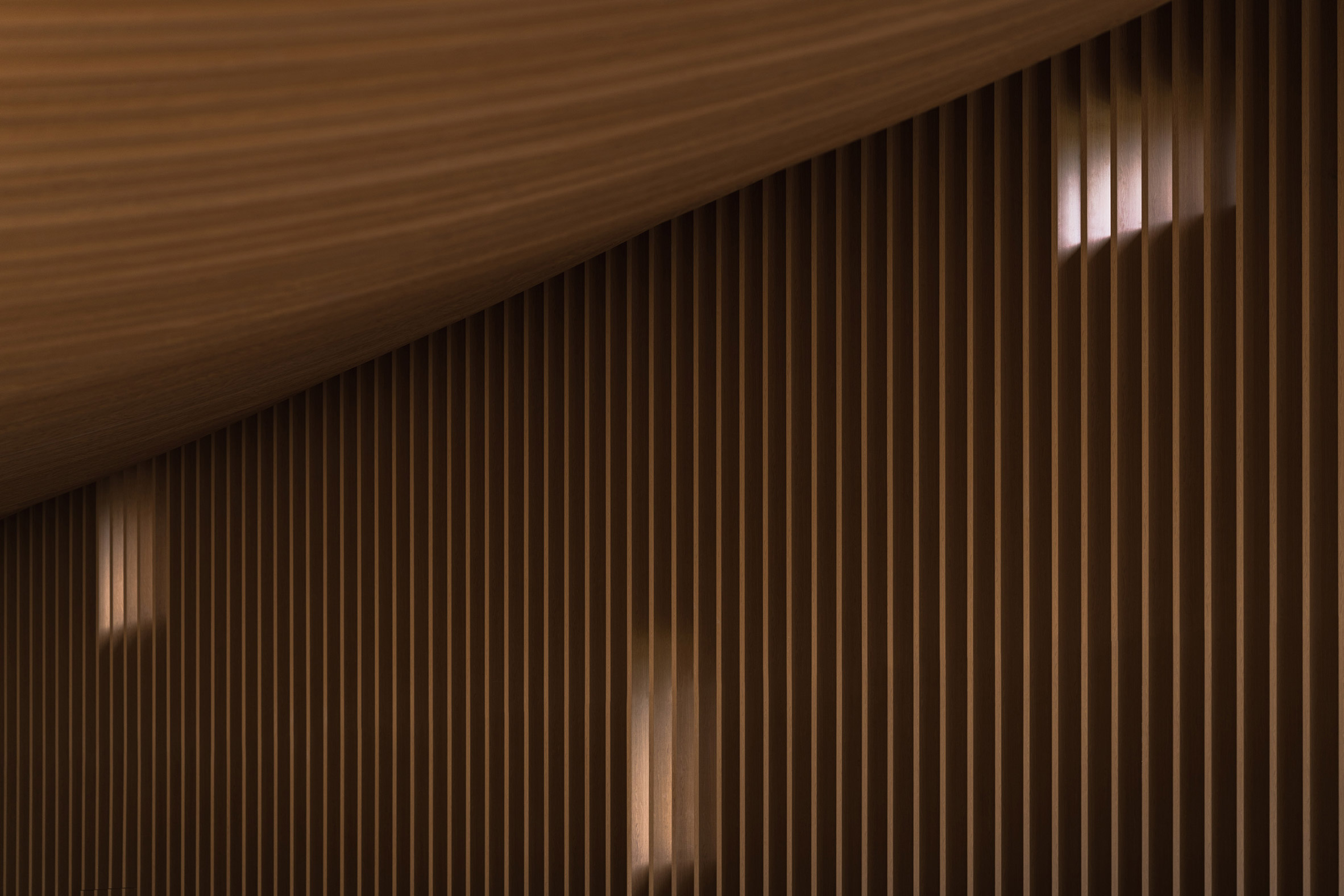 Image of light dappling across the wooden walls of the book shop