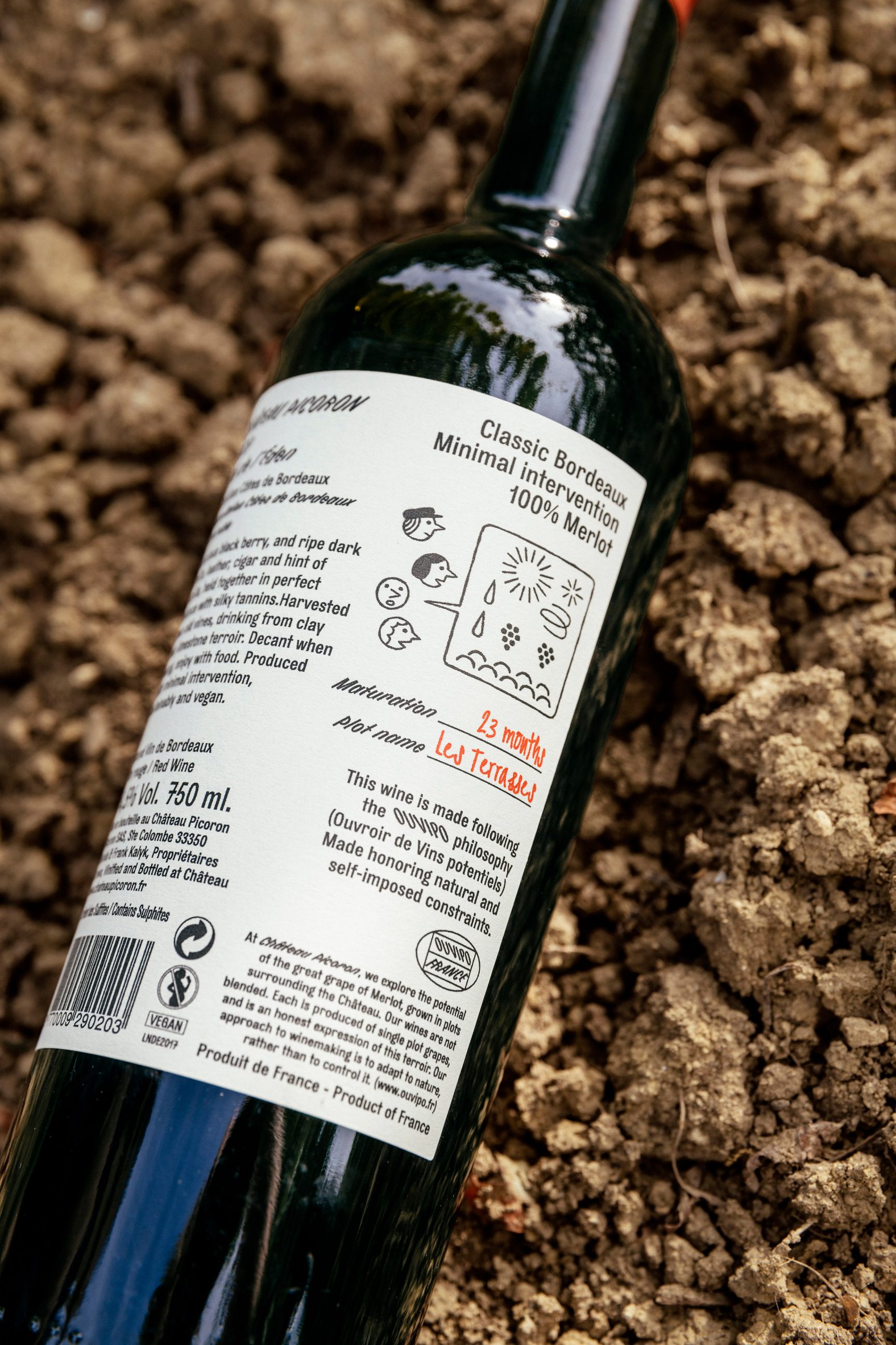 Photo of the back of a red wine bottle showing an illustration with various weather and grape icons in a speech bubble