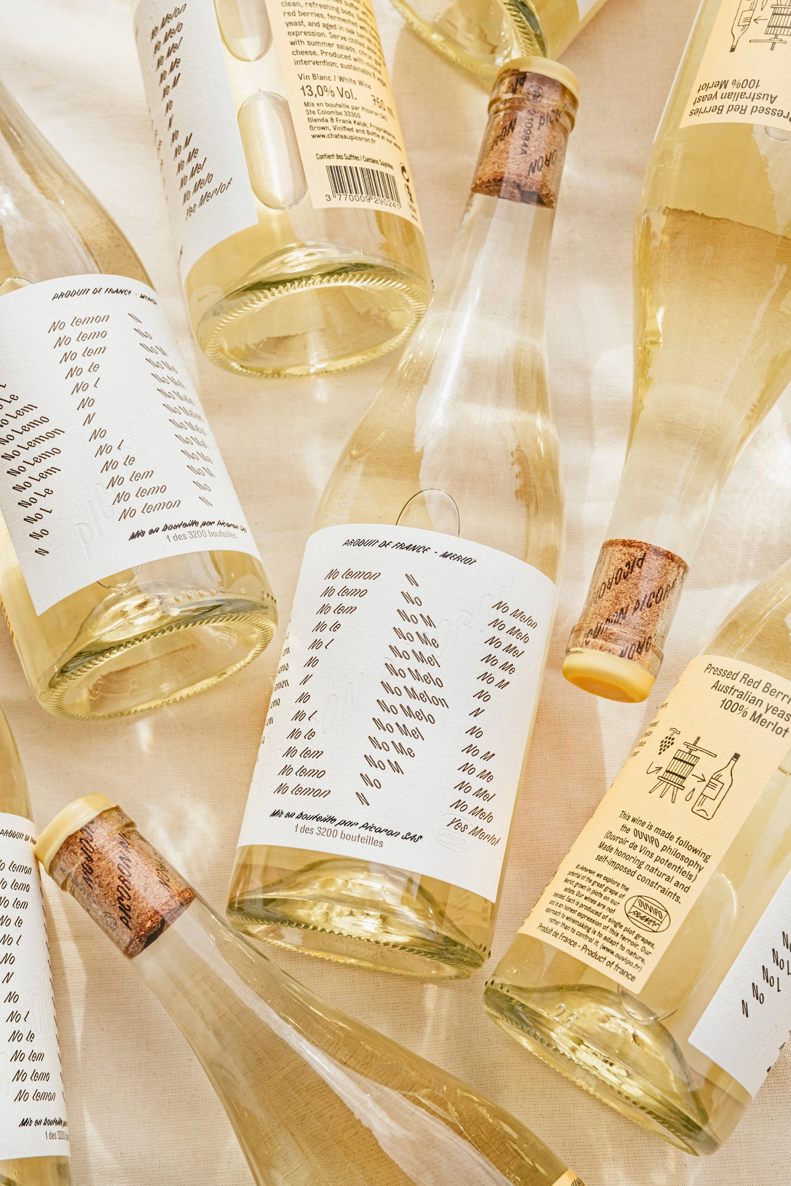 Photo of several bottles of white wine with clean, typography-based labels lying flat in the sunshine