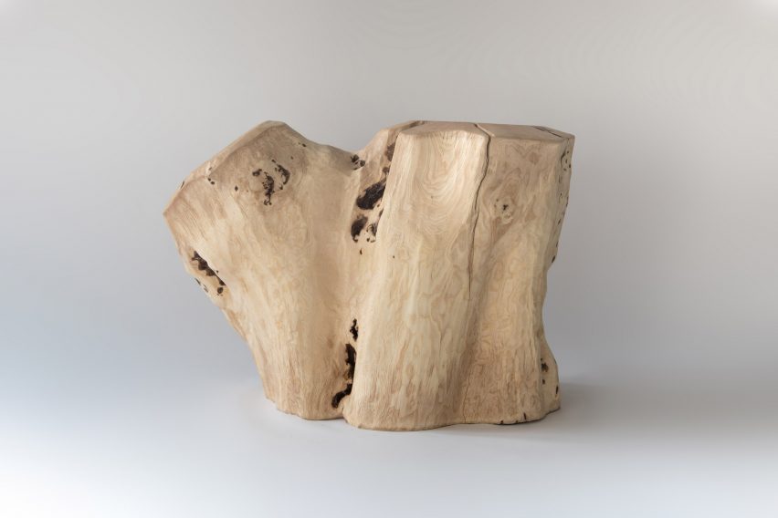 Photograph showing a forked piece of wood