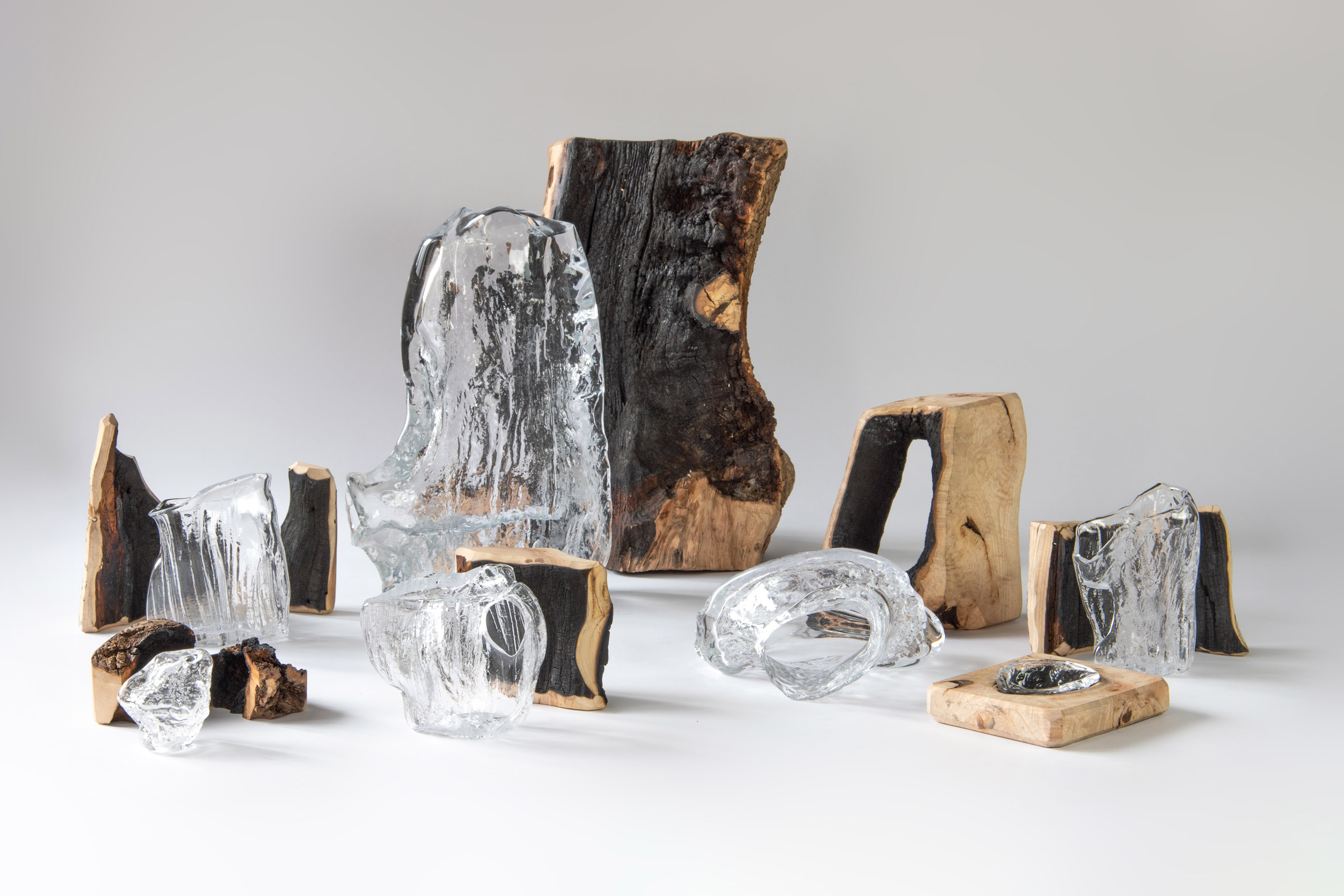Photograph showing white backdrop with wood and glass objects from SCP's One Tree exhibition at LDF