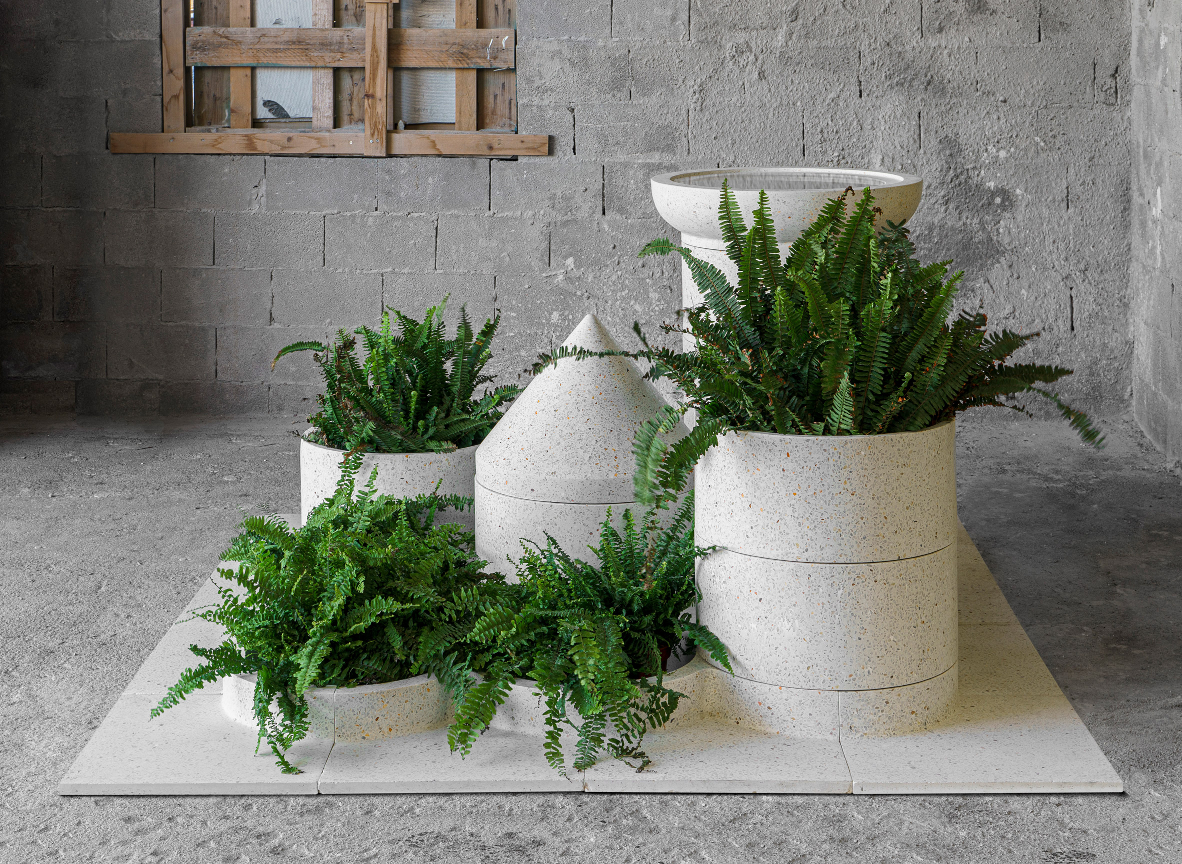 White ceramic pots filled with plants