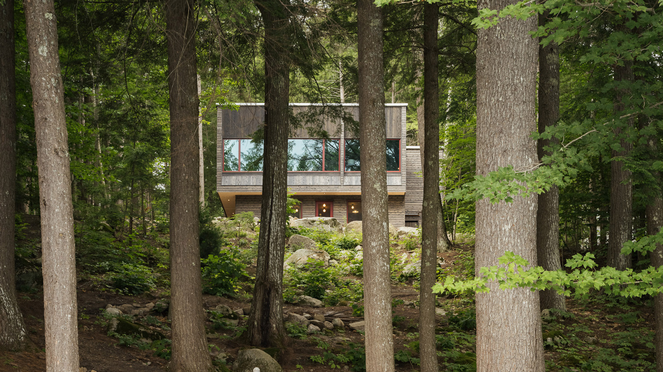 Caleb Johnson Studio clads Pieri Pines in Maine with local cedar - Vimarsana News