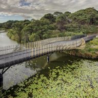 Sam Crawford Architects models Bara Bridge on curving shape of eels