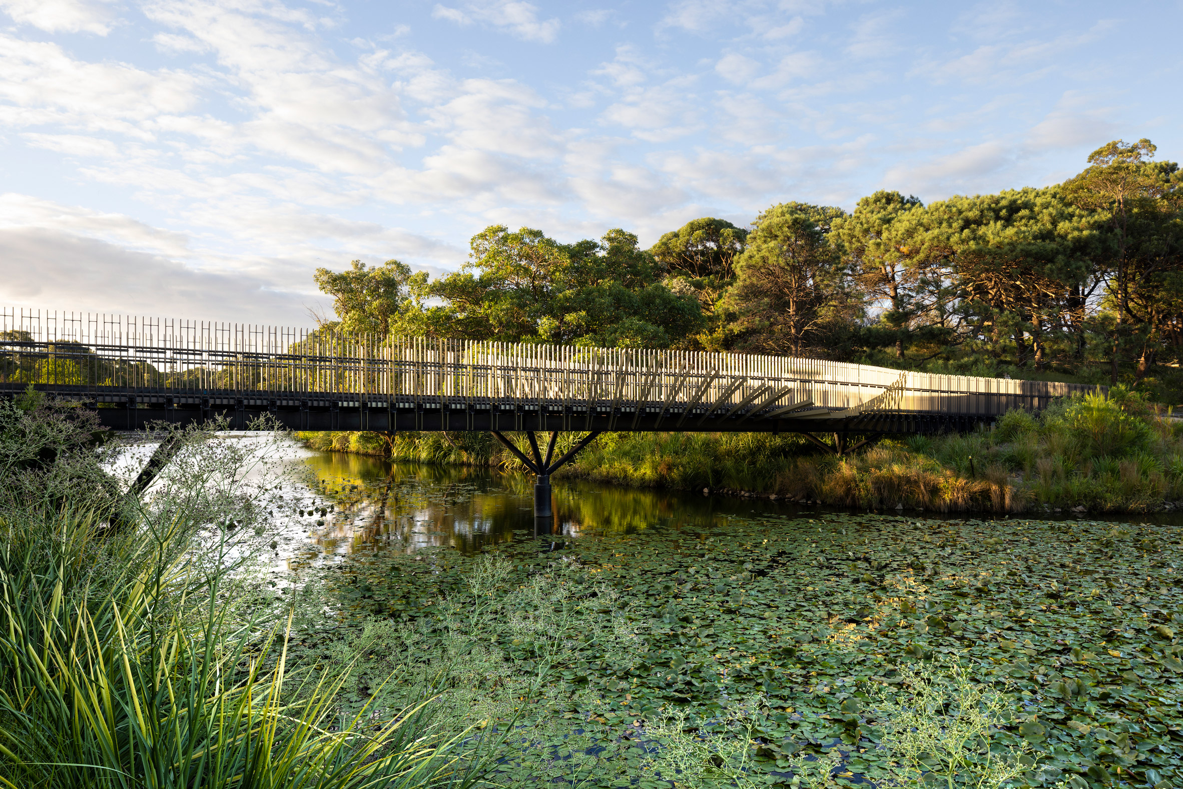 Bara Bridge in Sydney's Cetennial Park by Sam Crawford Architects
