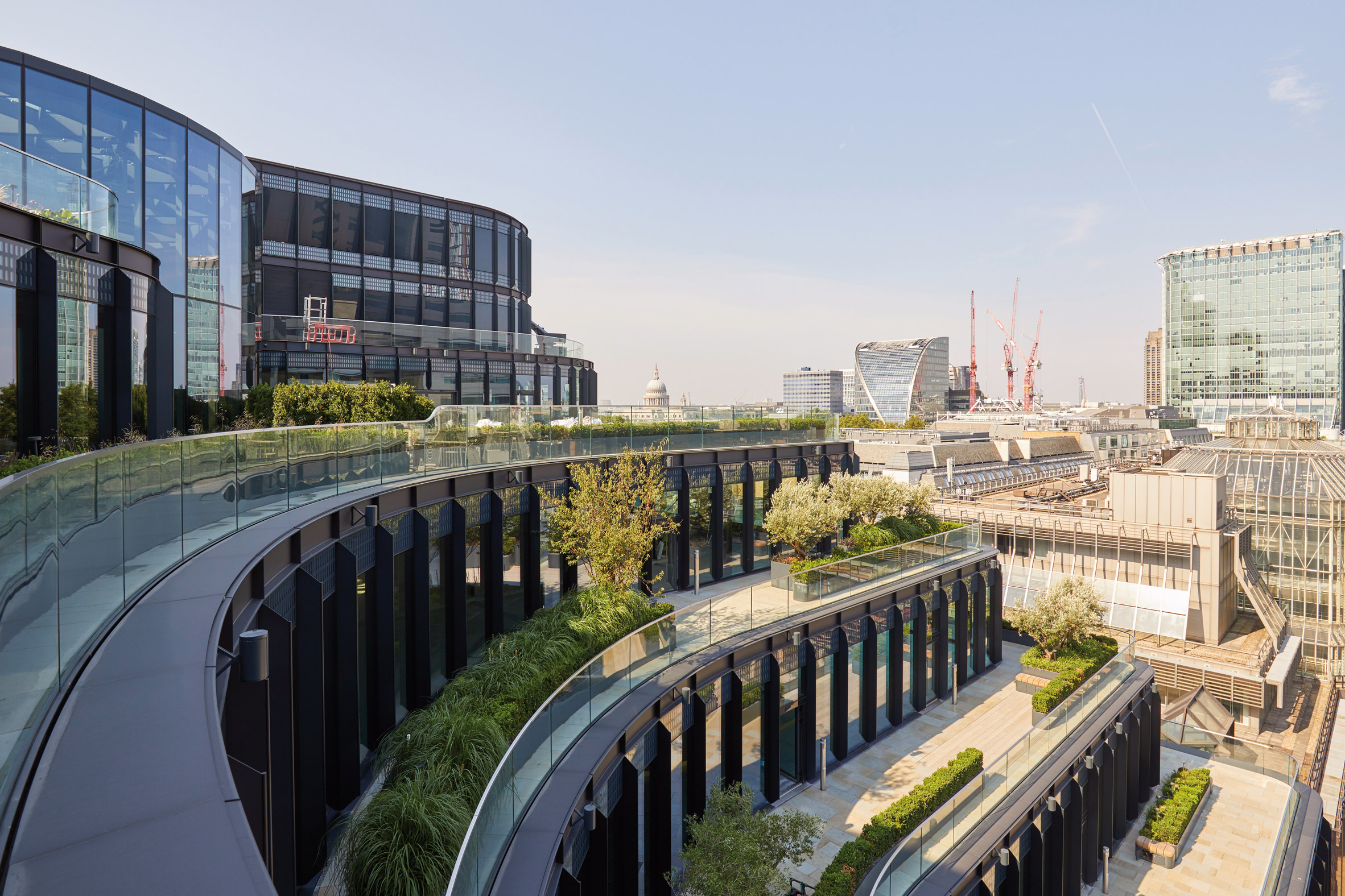 Tiered rooftop terraces of London office 