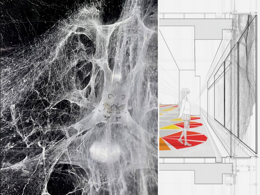 Split view of spider web texture and sectional view of building with figure