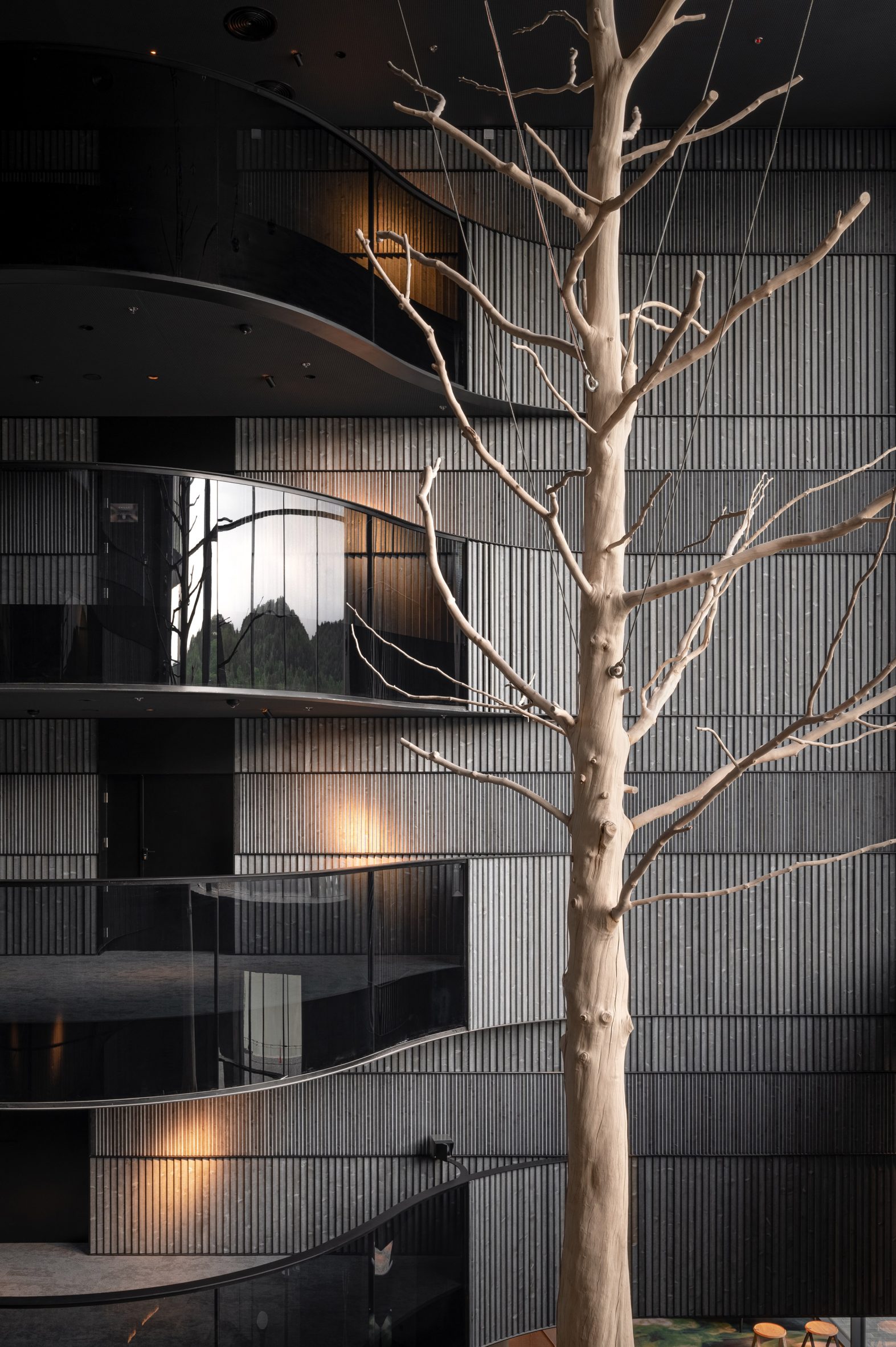 Tree suspended in Thermory wood-clad atrium