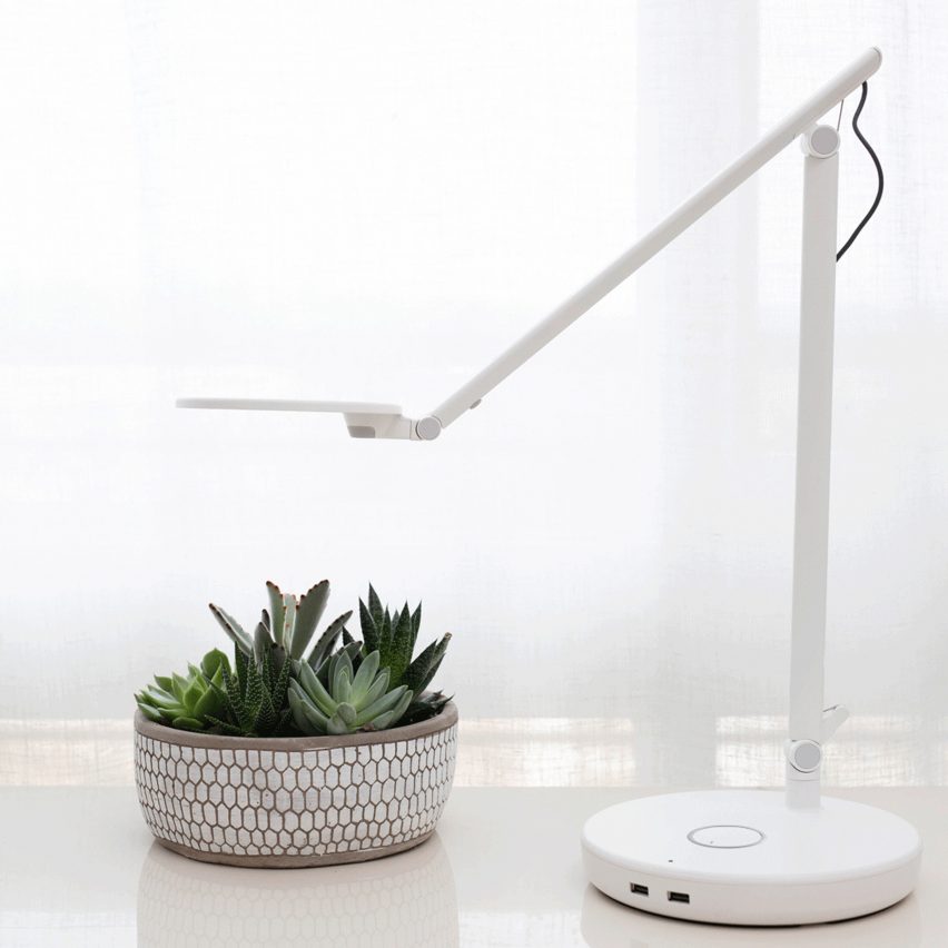A white lamp next to a plant
