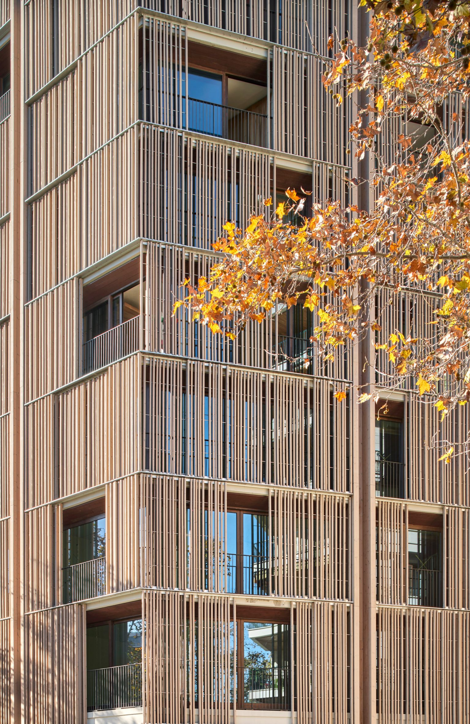 Detail image of the wooden screens across the facade of the Paseo Mallorca apartment block