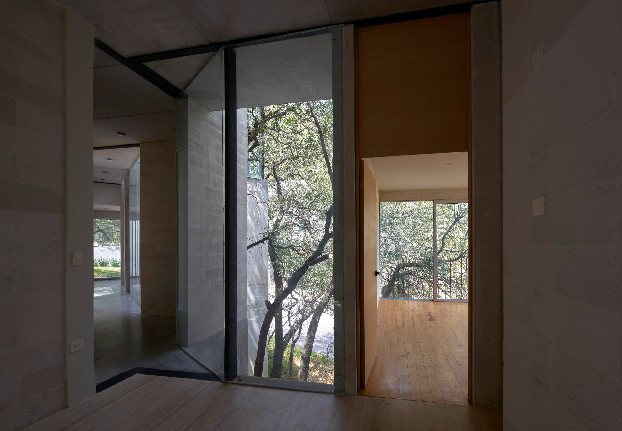 A corridor in a house overlooking a tree