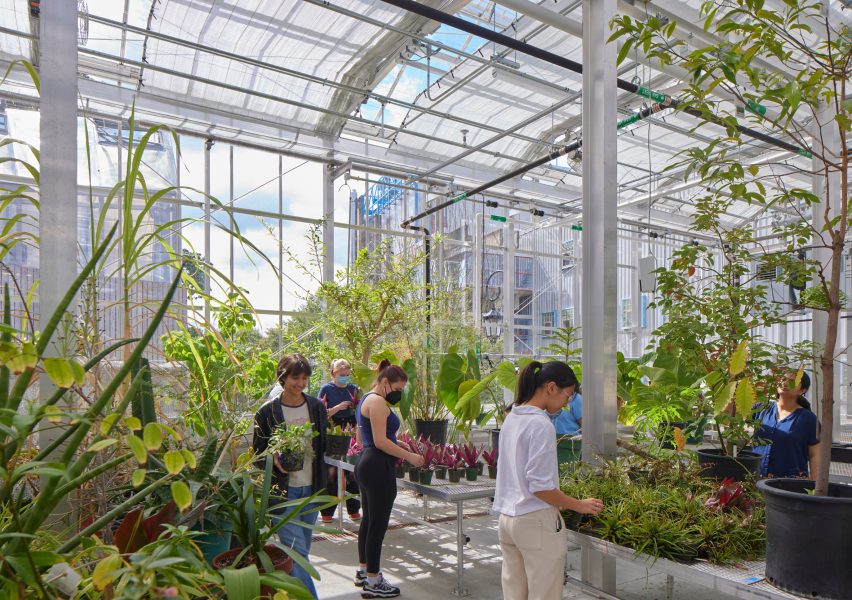 Greenhouse at Science hill