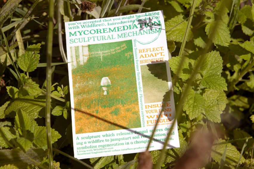 Pamphlet for Living with Wildfire system by Close-up of mycelium pod by Suzie McMurtry