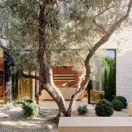 Woods + Dangaran organises Twentieth house around olive tree
