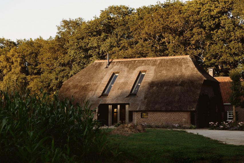 Skylights in thatched roof of converted barn in the Netherlands