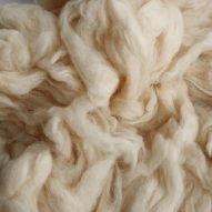 Close up of curly white wool