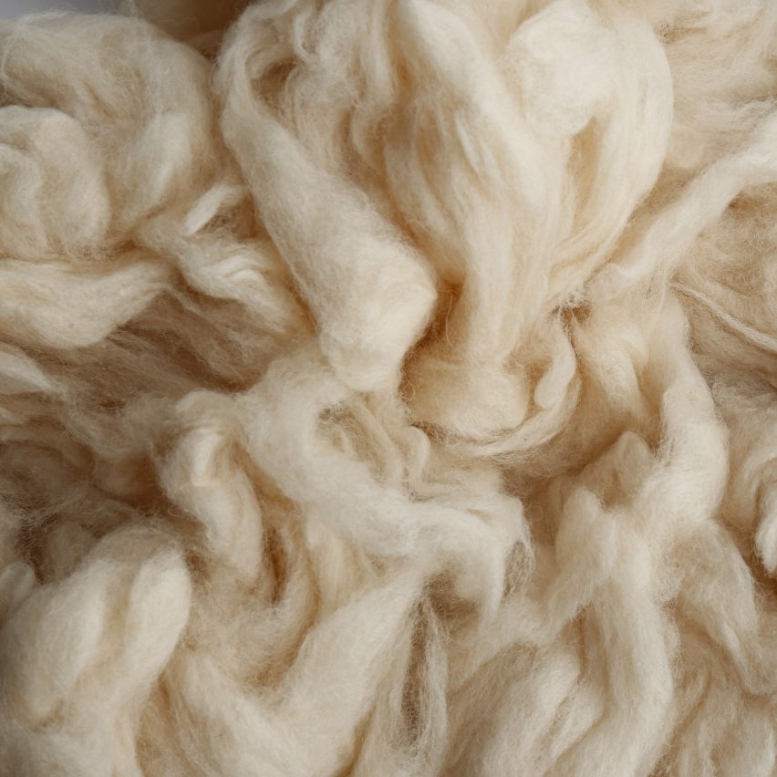 PETA launches $1 million design competition to create vegan wool