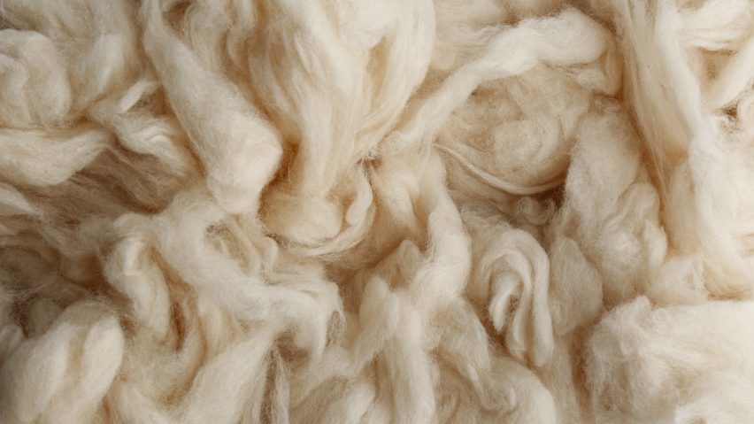 Curly white wool