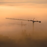Cranes in mist
