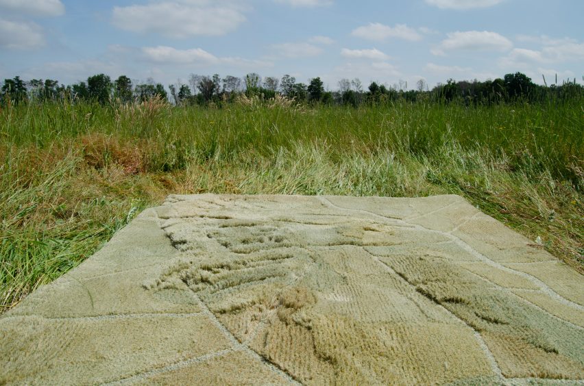 The Dryland rug photographed in a Dutch field