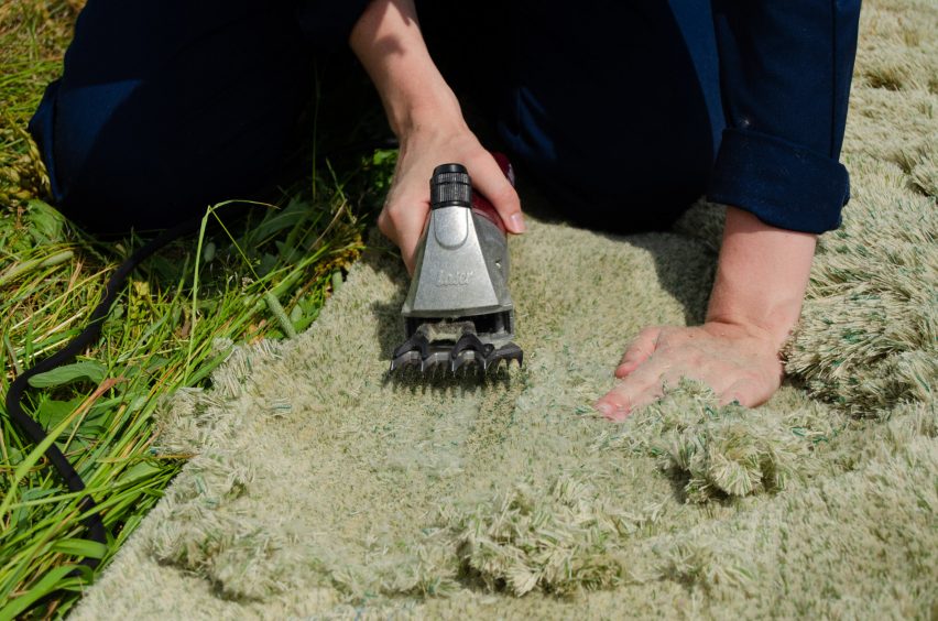 Hand with electric clippers cuts away grass-like sections of rug
